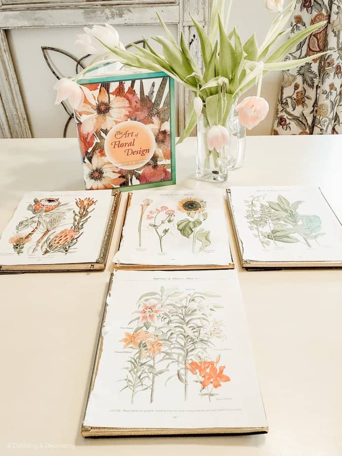 Botanical prints with gold frames laying on table.