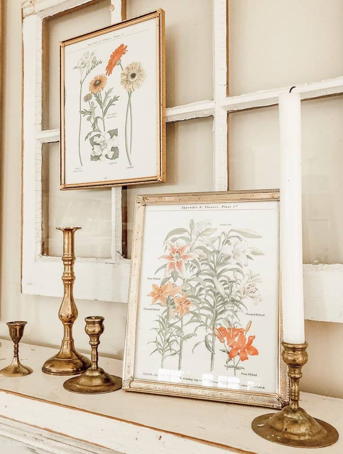 Botanical prints on vintage mantel with salvaged windows and brass candlesticks.