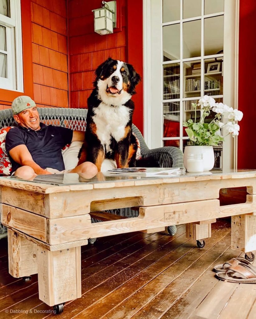 DIY pallet picnic table and coffee table designed for a picnic set up at home.  Man with Bernese Mountain Dog.