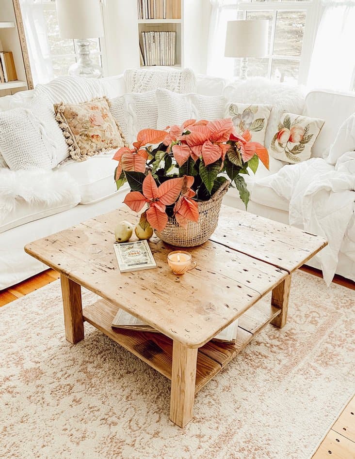 Pink Poinsettia on vintage wood coffee table in basket with winter white decorations in sunroom.