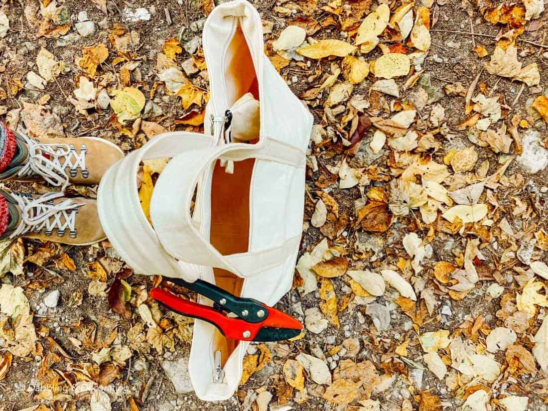 a bag, boots, and leaves