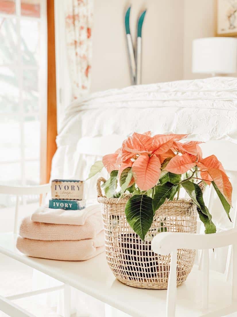 A vase of flowers on a table