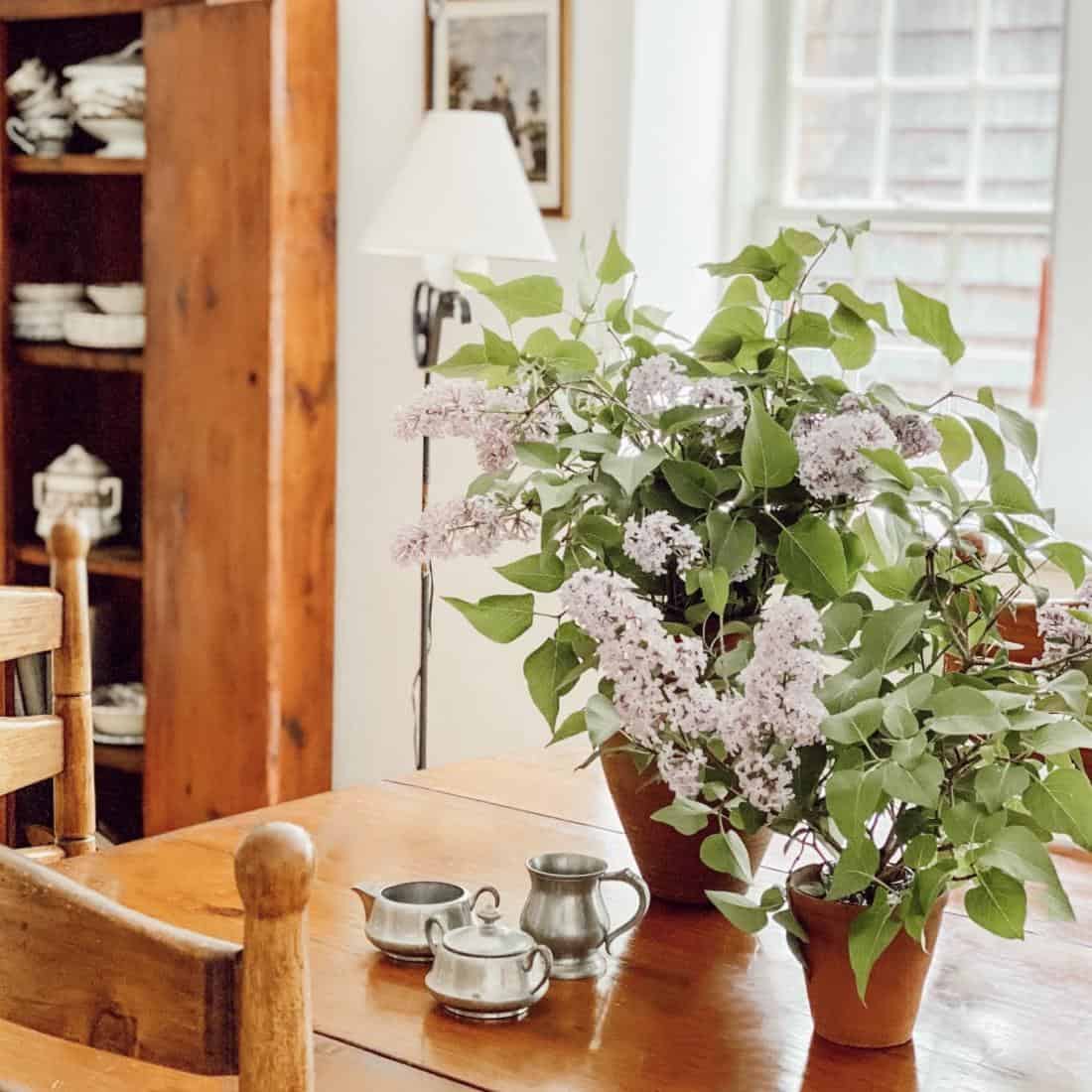 A vase of flowers on a table