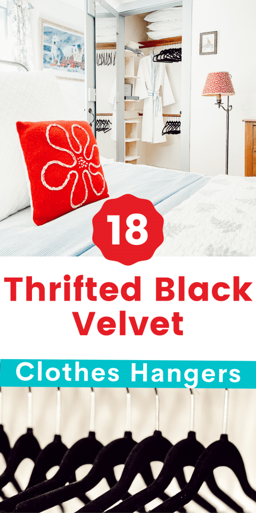 https://www.dabblinganddecorating.com/wp-content/uploads/2021/04/18-Thrifted-Black-Velvet-Clothes-Hangers-512x1024.png