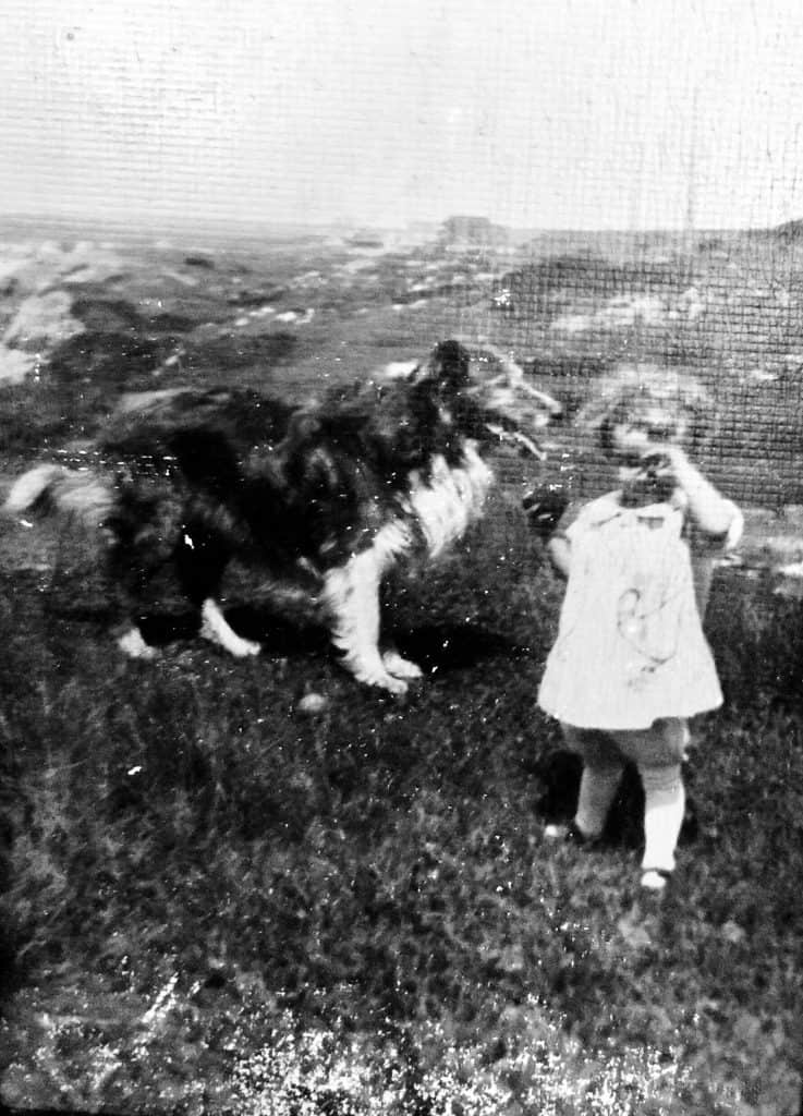 Shirley Couser at the Nubble at two years old with collie dog.  Coastal Maine Heritage - Embracing My Roots