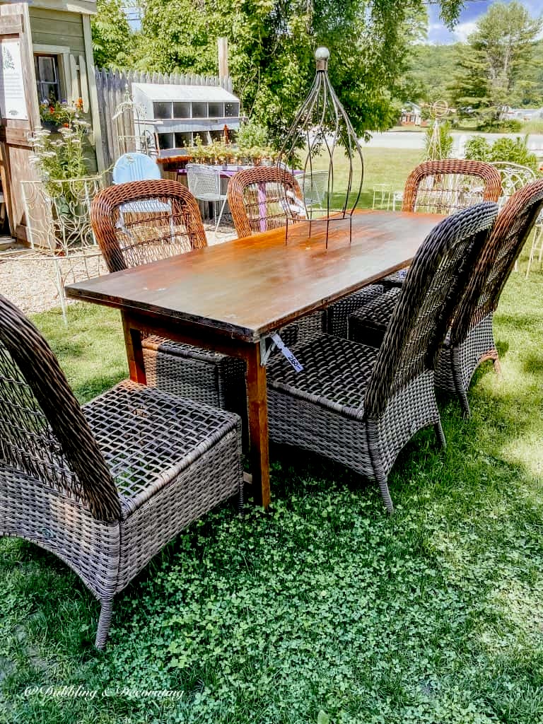 Vintage wooden wallpaper table with wicker chairs at outdoor flea market in the grass.