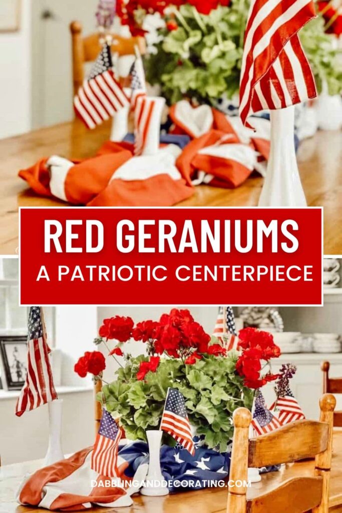 Red Geraniums- A Patriotic Centerpiece