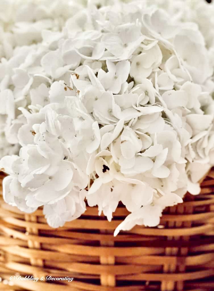 White Hydrangeas in Basket