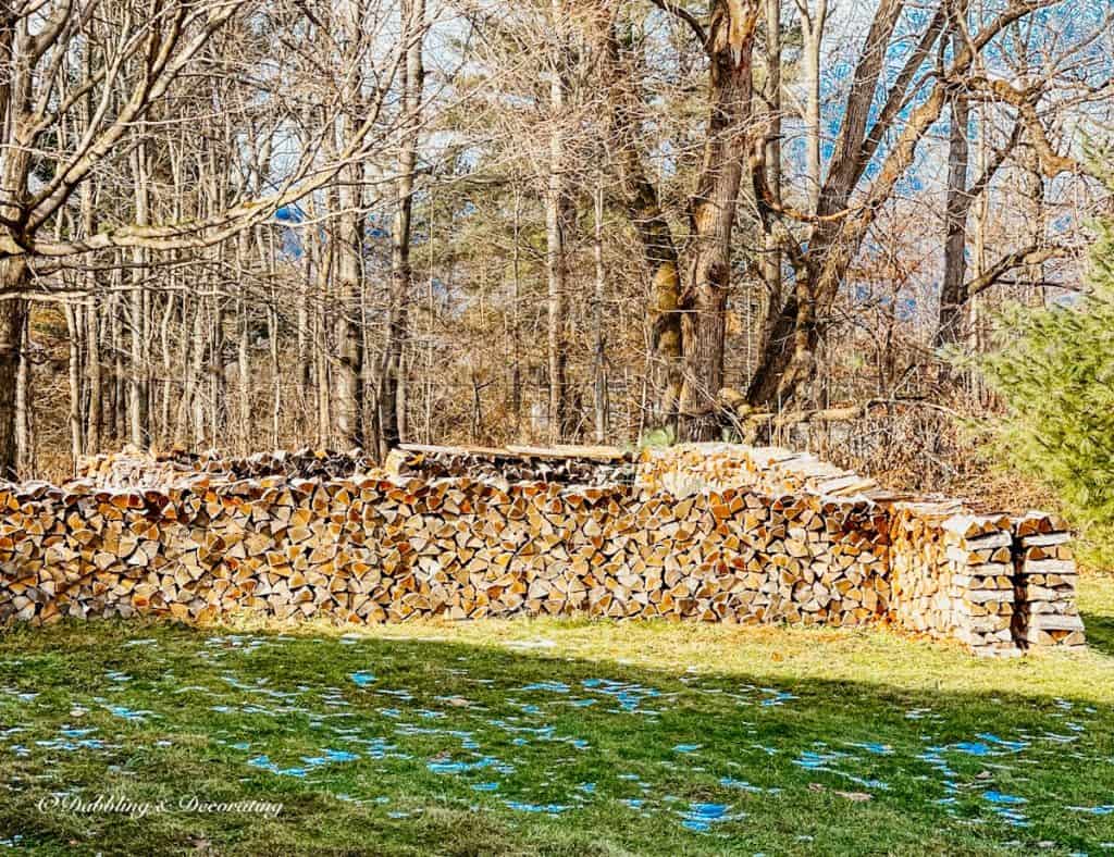 Outdoor wood pile.