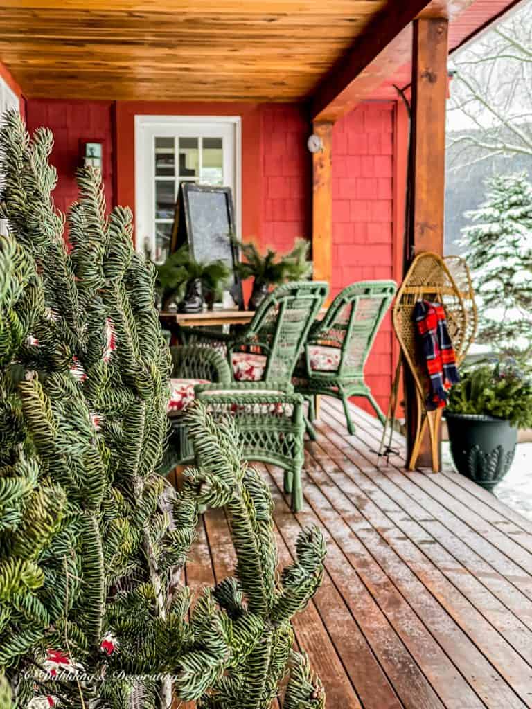 Vintage ski house decor on red house porch with vintage snowshoes, bare Christmas tree and evergreens in snowy scene.