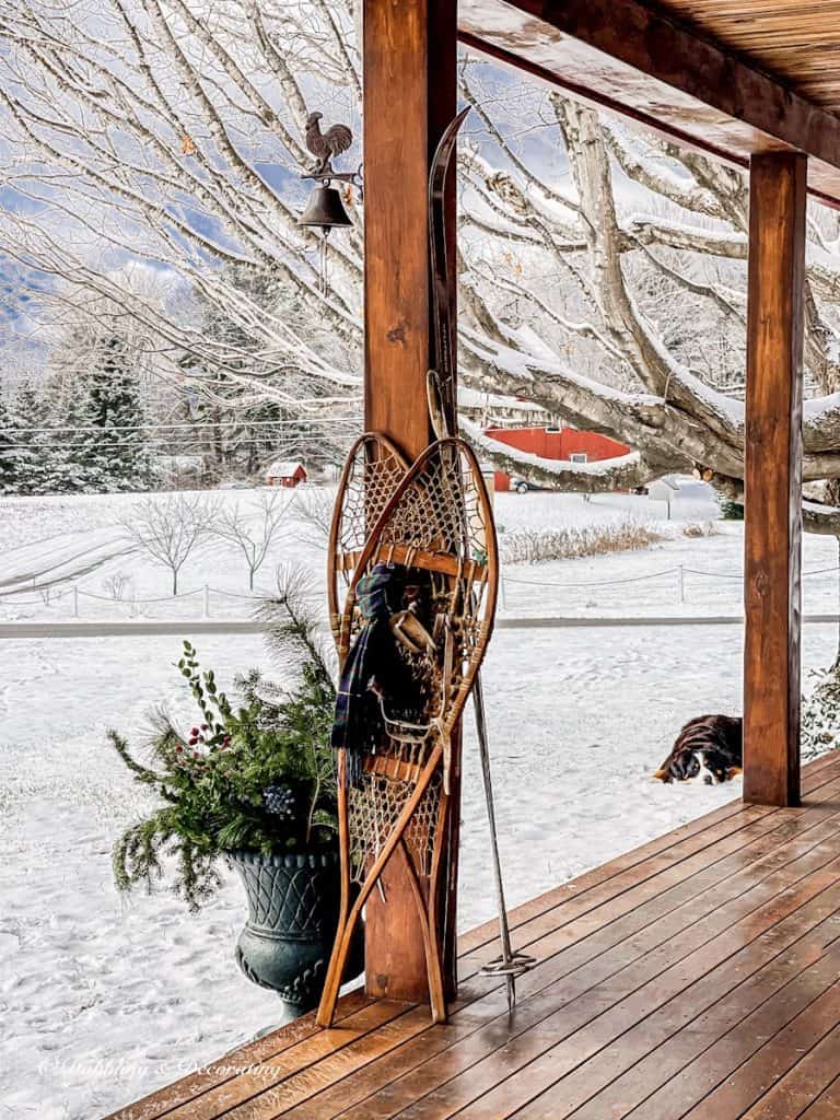 Winter ski house porch in snow with vintage snowshoes, evergreens in urn and Bernese Mountain dog lying in snow.