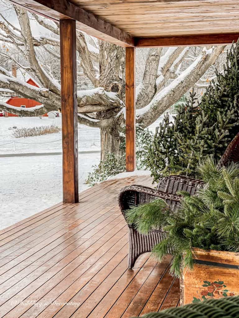 Winter ski house porch with bare Christmas tree, old crate filled with evergreens with snowy view.