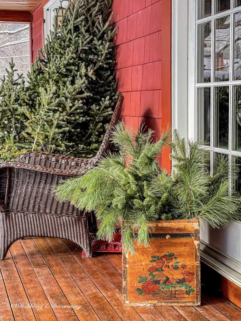 Vintage crate with evergreens, brown wicker chair and bare Christmas tree on ski house decor style porch.