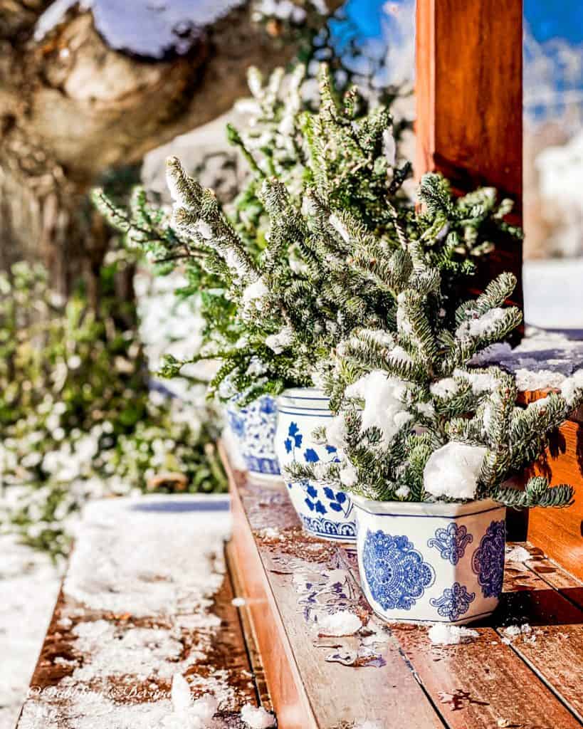 blue and white Chinoiserie pots on porch steps in snow and ice with evergreens.