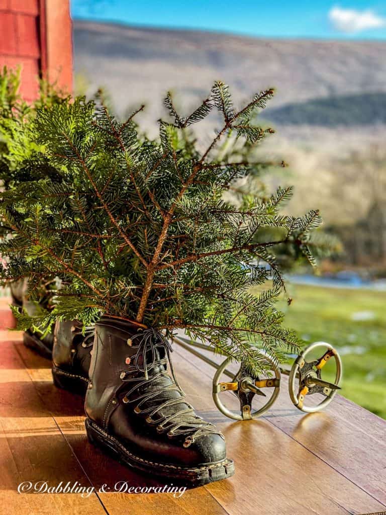 Vintage ski boots in black with evergreens on wooden table on ski house porch.