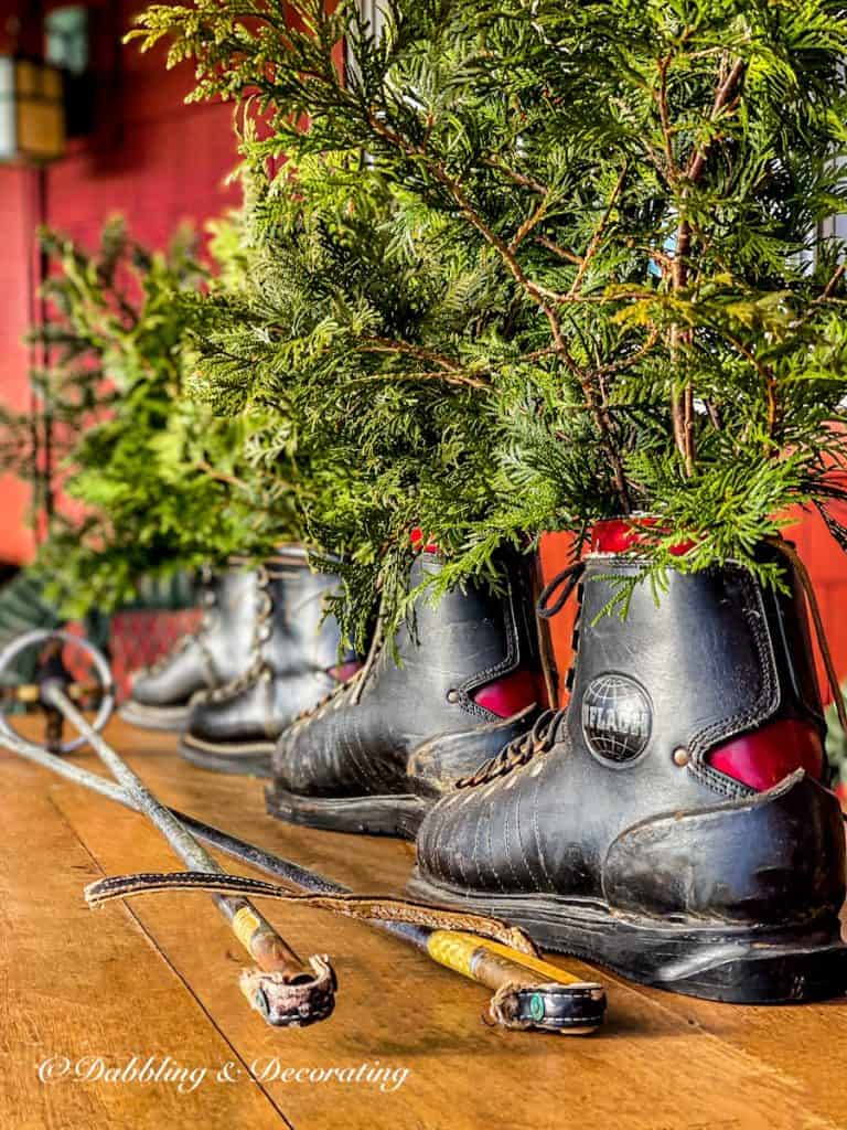 Four Vintage black ski boots with evergreens and vintage ski poles lined up on wooden table.