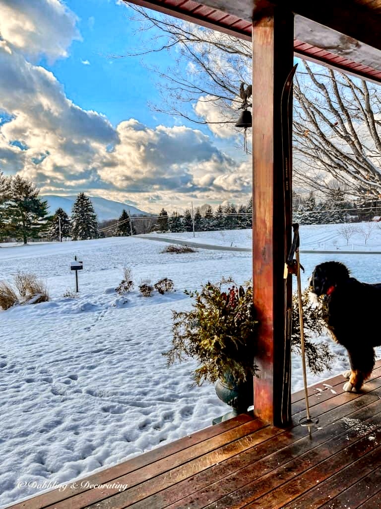 Bernese Mountain Dog looking out at snowy landscape off ski lodge porch with vintage skis and evergreen urn.