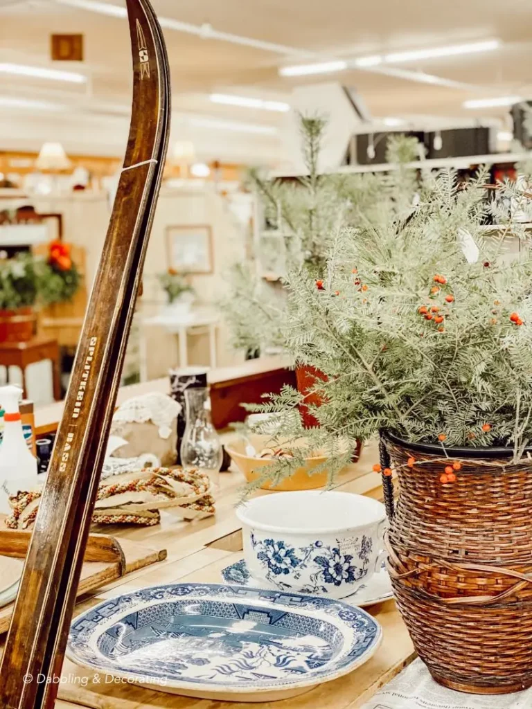 Vintage wooden cross country skis leaning on antique store counter with blue platter and basket of evergreens.