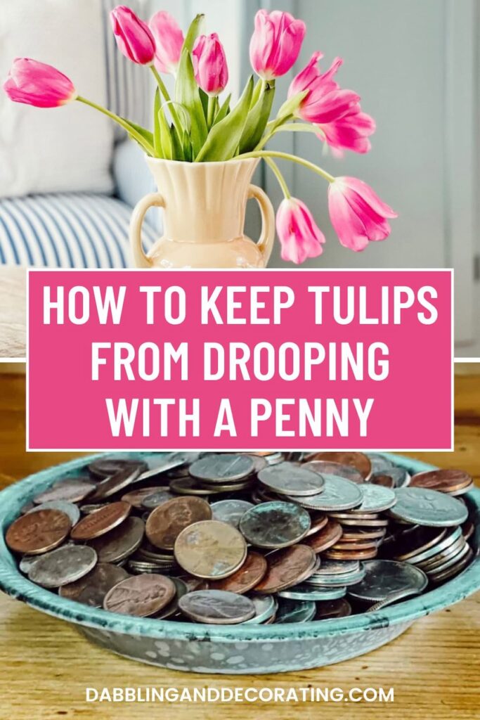 How to Keep Tulips From Drooping With a Penny