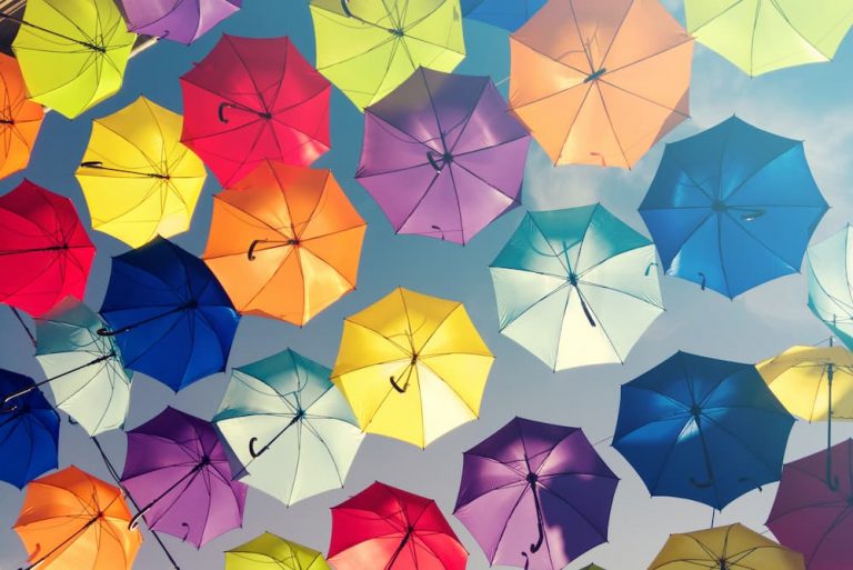 Pick the Perfect Umbrella: Our Top Picks