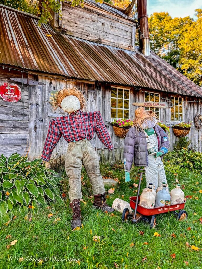 Two funny scarecrows dressed as farmer and wife with little red wagon.