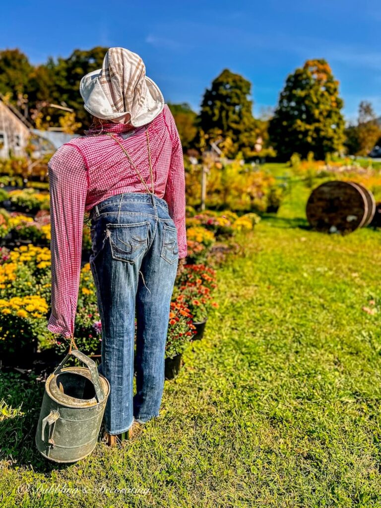 Funny Scarecrow tired gardener with watering can in garden.