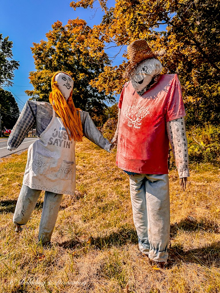 Woman funny scarecrow with long orange hair with apron that says to man scarecrow next to her Just Sayin'.