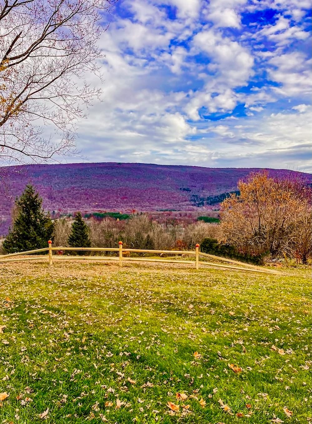 Split Rail Fencing With Cedar Style | Dabbling & Decorating