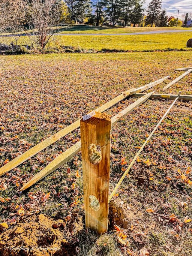 Split Rail Fencing With Cedar Style | Dabbling & Decorating