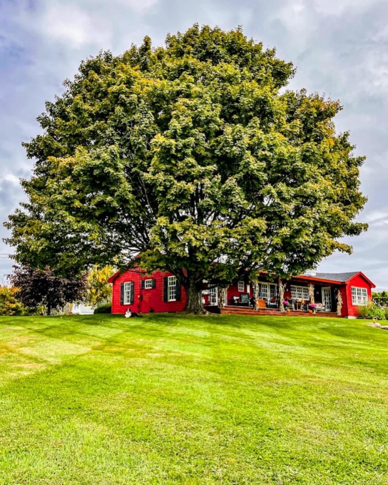 Vermont Fall Foliage Home Tour