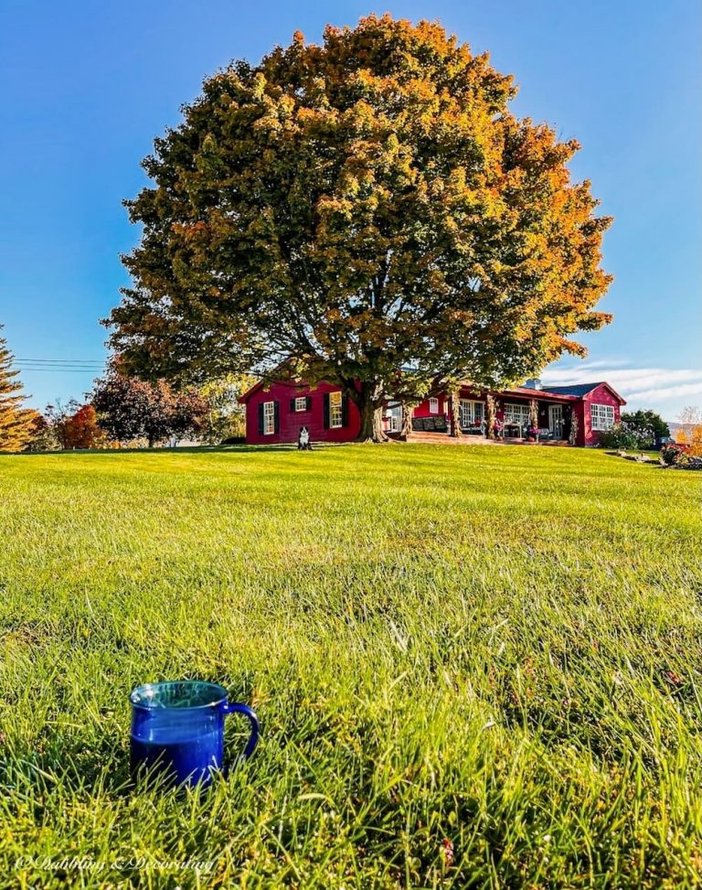 vermont-fall-foliage-home-tour-dabbling-decorating