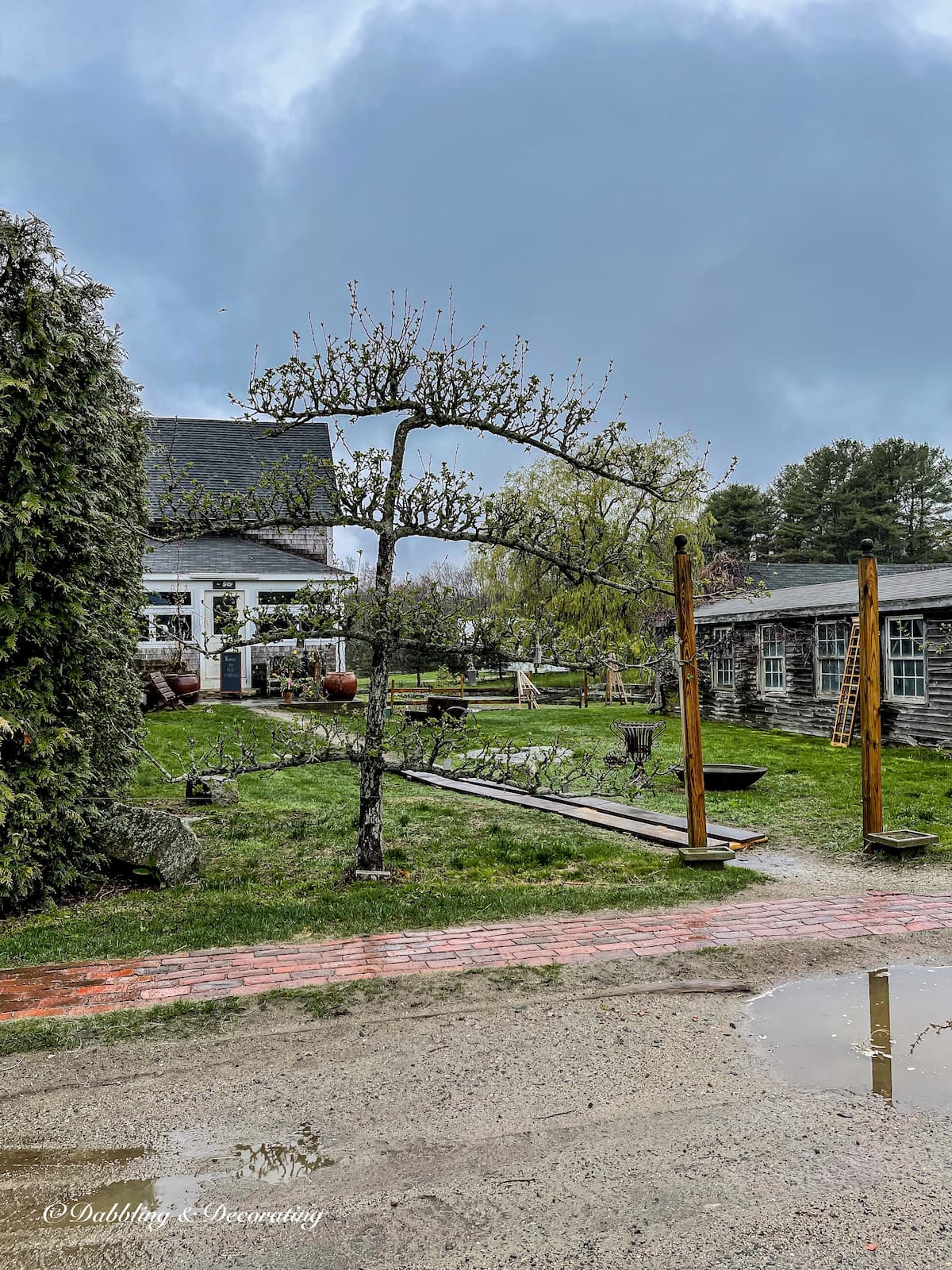 Why Snug Harbor Farm Is One of the Most Magical Places in Maine