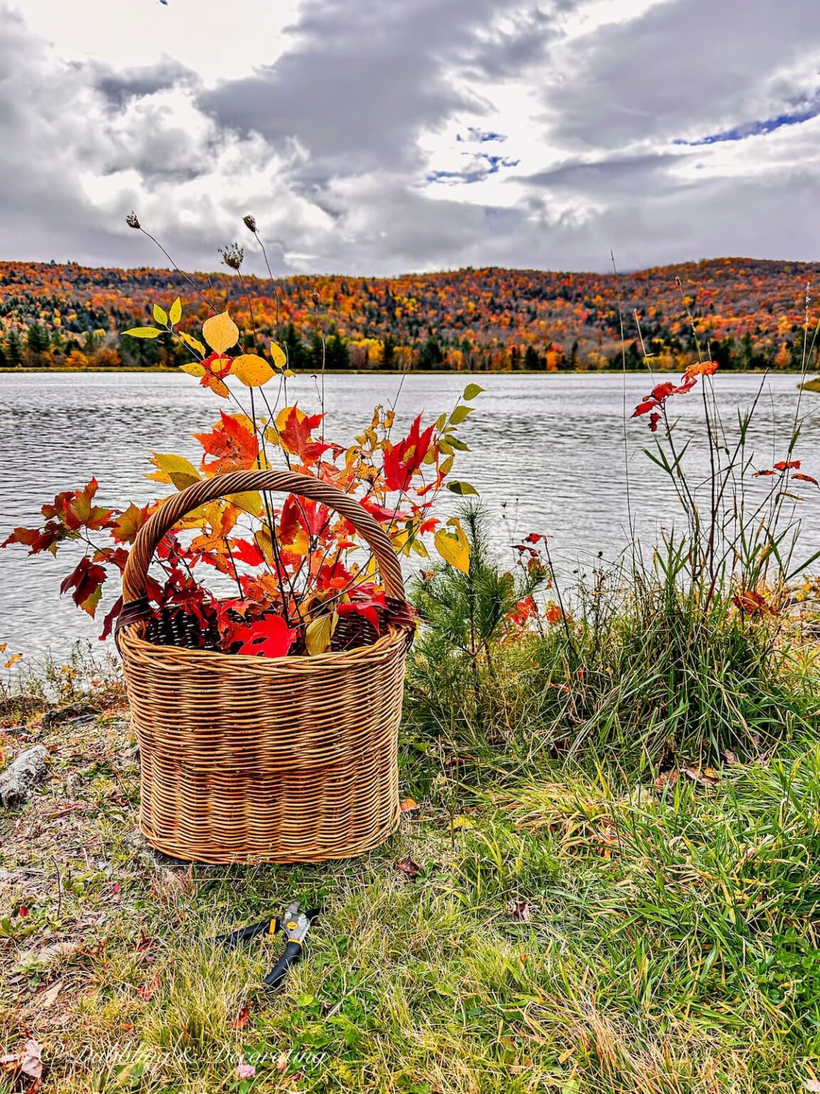 6 Forage Basket Arrangements Off-Season | Dabbling & Decorating