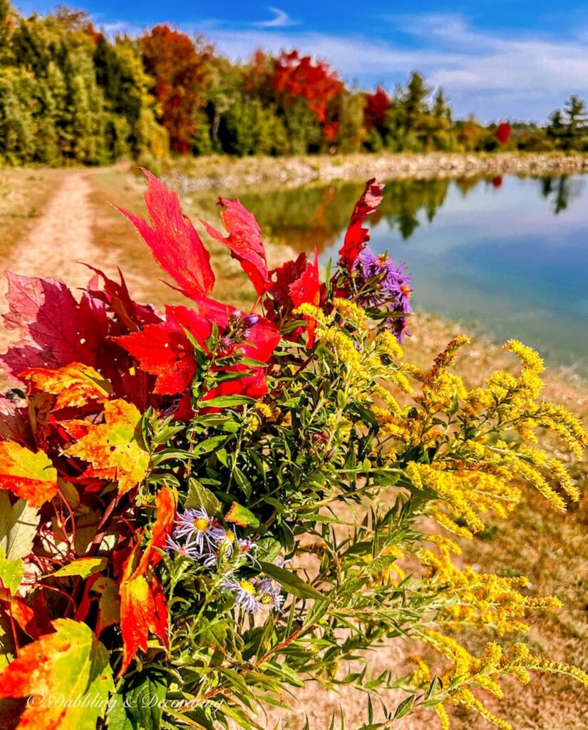 Fall foraged flower arrangement while hiking around the water in Vermont.