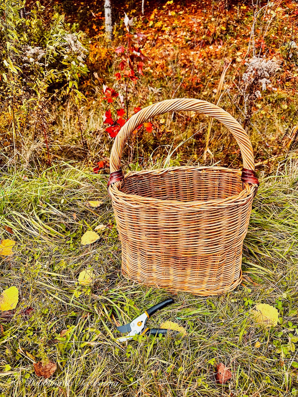 6 Forage Basket Arrangements Off-Season | Dabbling & Decorating