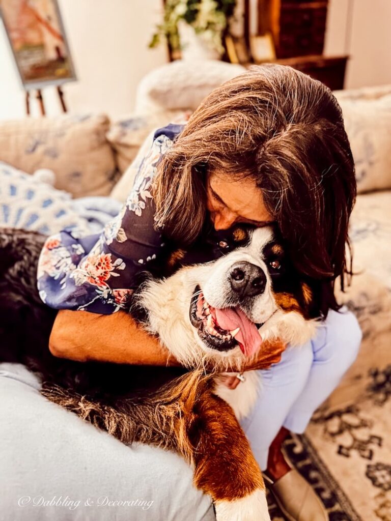 Woman hugging a Bernese Mountain Dog, Ella