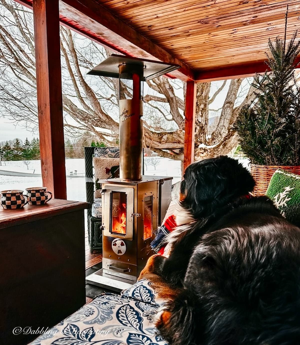 Big Timber Stove on Porch with Resting Bernese Mountain Dog