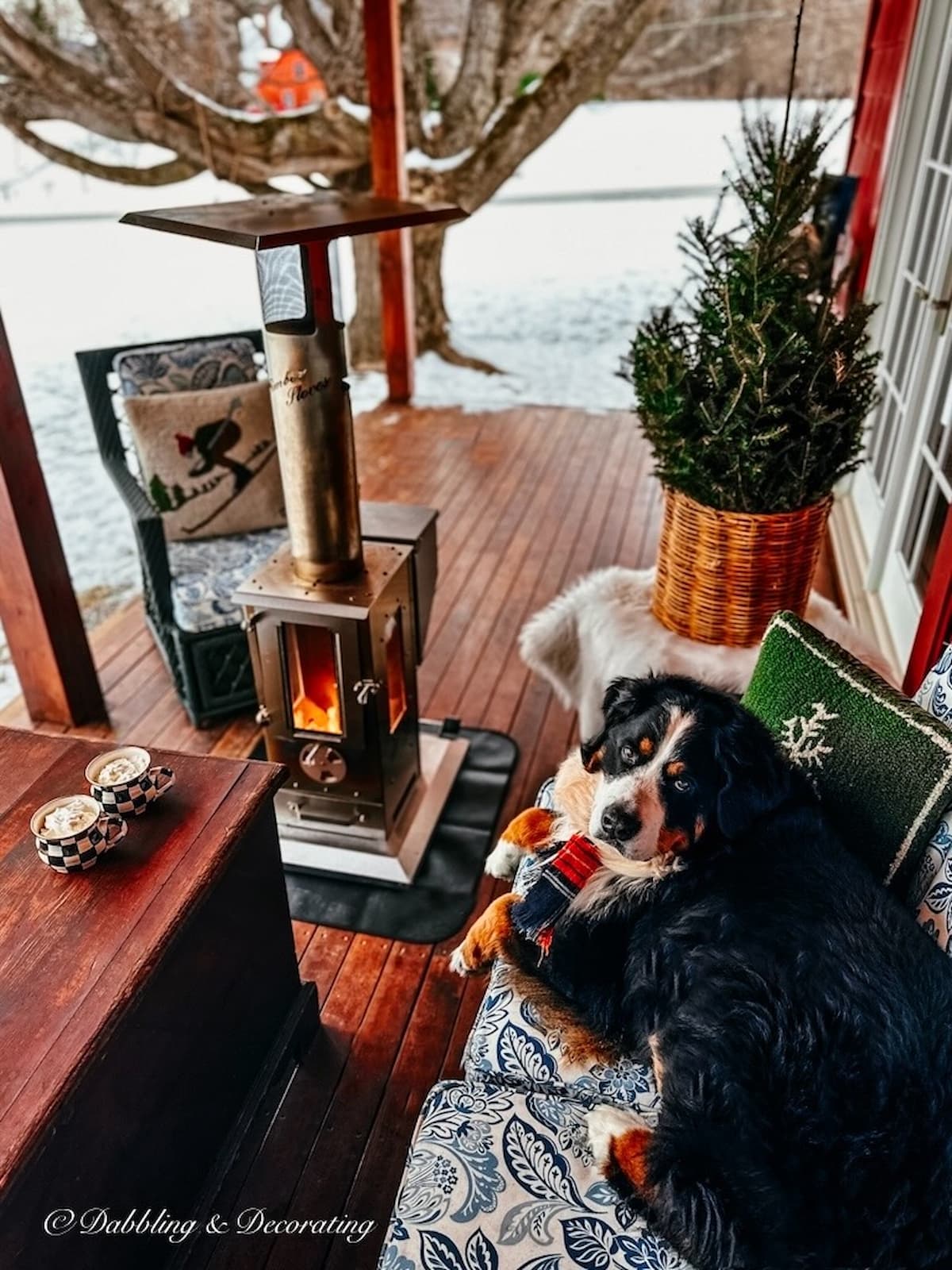 Big Timber wood pellet outdoor stove with Bernese Mountain Dog on Porch.