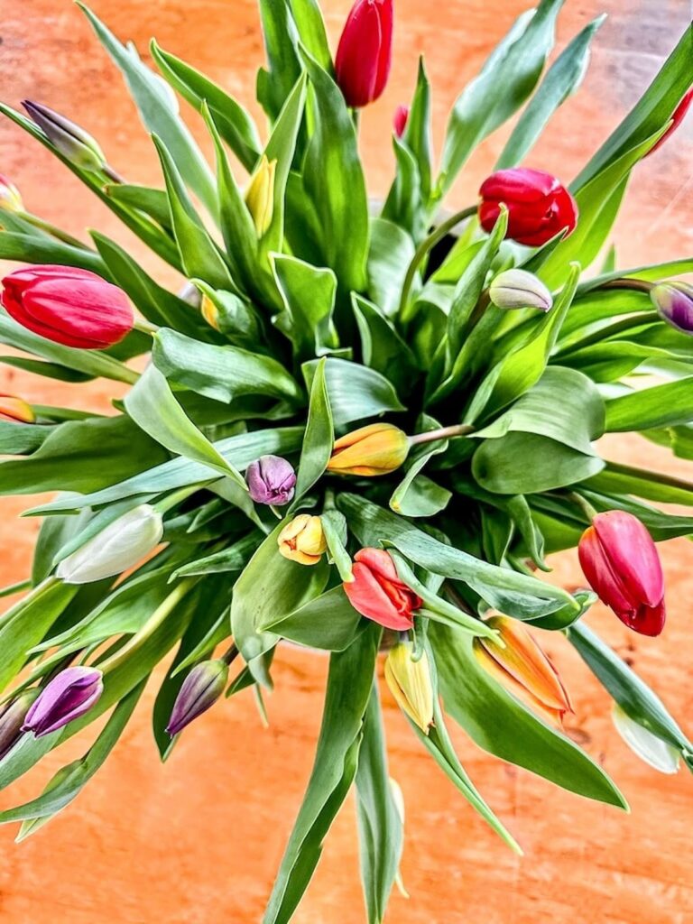 Colorful Tulips in Cottage Farmhouse Decor