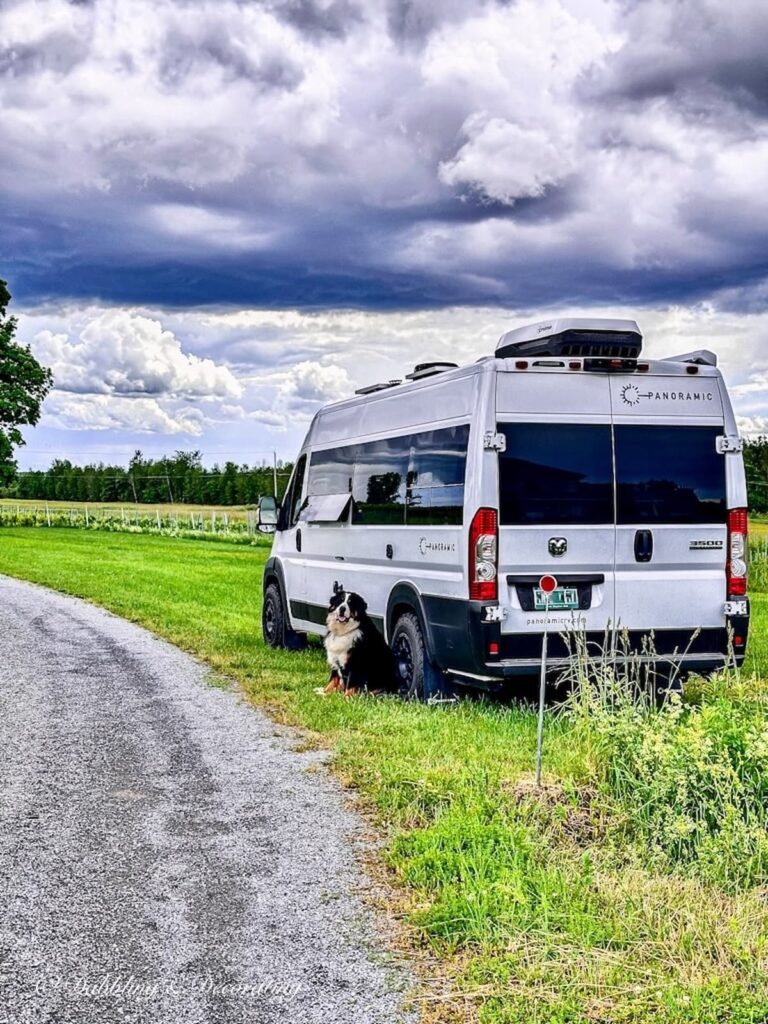 Panoramic RV on the Road with Bernese Mountain Dog at Vineyard