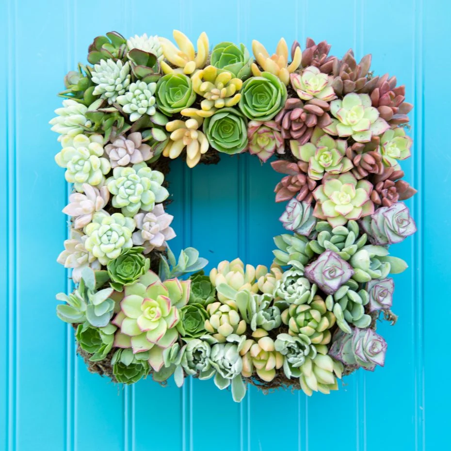 Succulent Summer Wreath on bright blue door.