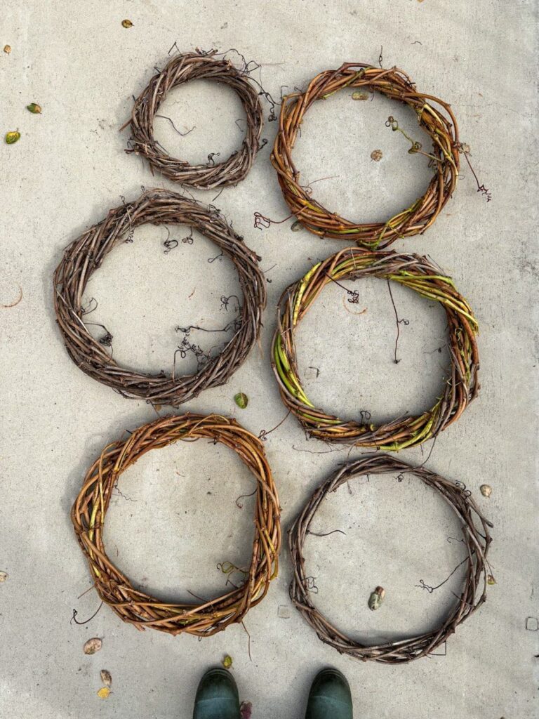 Six DIY grapevine circular arrangements.