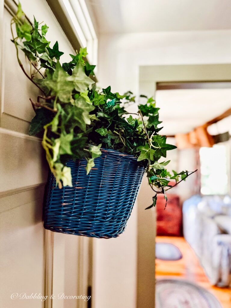 Antique bicycle basket with green ivy on inside front door.