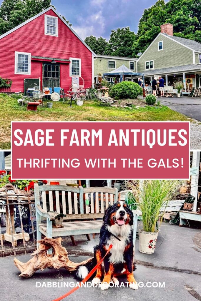 Sage Farm Antiques Thrifting with the Gals