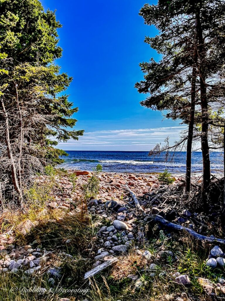 Ocean View and Pine trees view on the Cabot's Trail Cape Breton Island Nova Scotia.