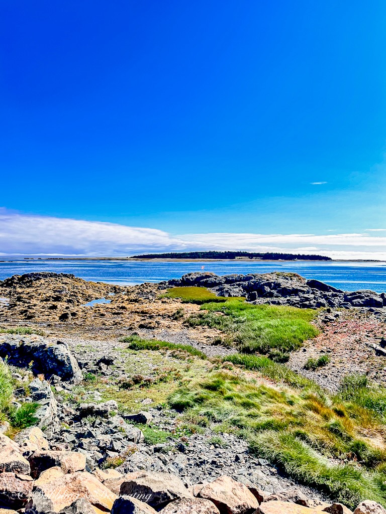 Shore Oasis Boondocking on the Bay of Fundy in Grand Manan, New Brunswick.