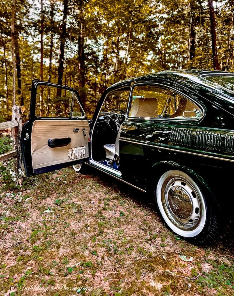 Fall in Love with a Vintage Inspired Car Picnic