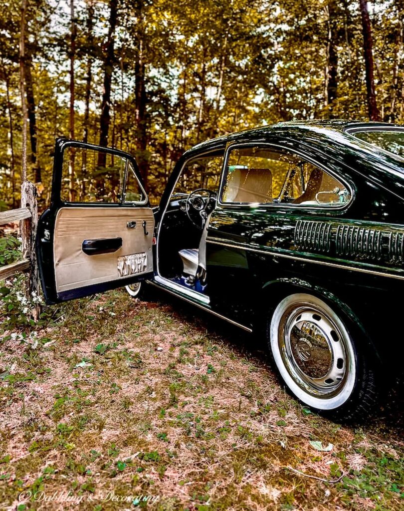 Open car door of a 1968 Volkswagen Fastback in the woods.