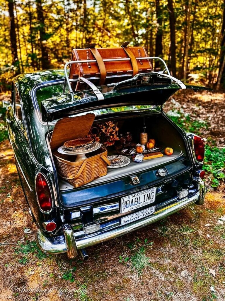 1968 Vintage Volkswagon Fastback with car trunk picnic display in the woods.