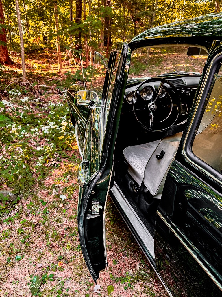 Open car door of a 1968 Volkswagen Fastback in the woods.